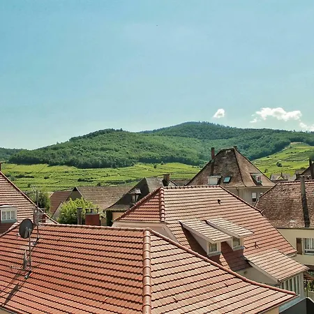 Apartment Aux 6 Hirondelles Ammerschwihr