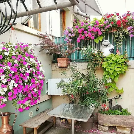 Aux 6 Hirondelles Apartamento Ammerschwihr