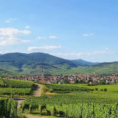 Aux 6 Hirondelles Ammerschwihr