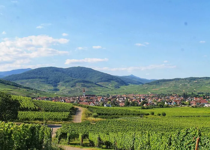 Aux 6 Hirondelles Ammerschwihr